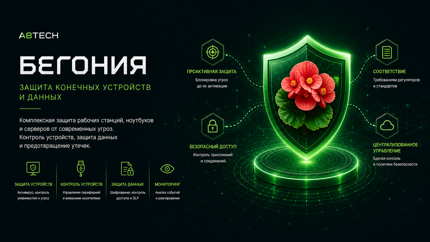 Бегония
